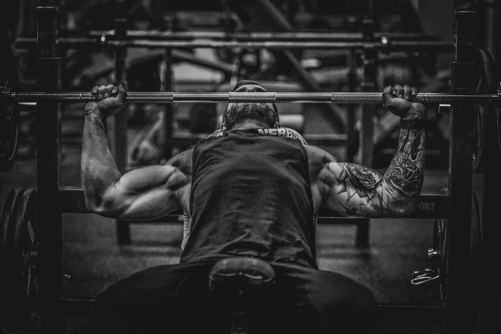 Sportschool Den Haag met moderne trainingsfaciliteiten, cardio-apparaten en leden die aan hun fitnessdoelen werken in een vri